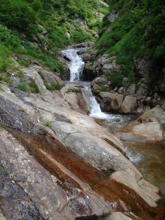 DSC00515.jpg