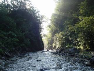 DSC00353.jpg