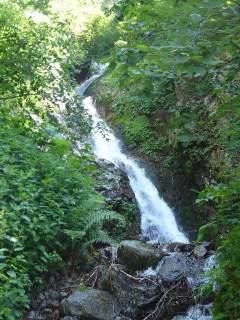DSC00355.jpg