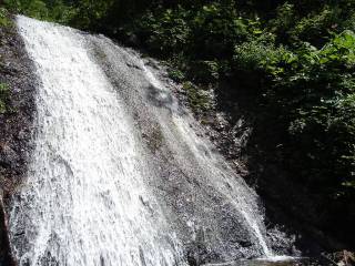 DSC00356.jpg