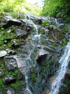 DSC00373.jpg