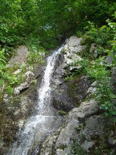 DSC00375.jpg