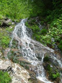 DSC00374.jpg