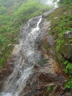 DSC00159.jpg