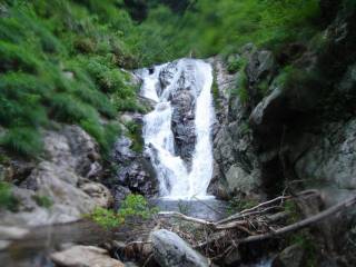 DSC00204.jpg