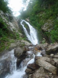 DSC00203.jpg