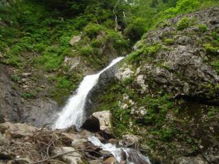 DSC00207.jpg