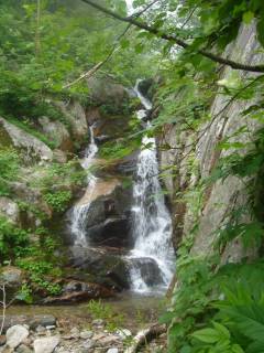 DSC00199.jpg