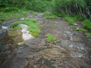 DSC00195.jpg