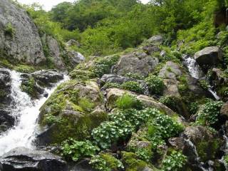 DSC00191.jpg