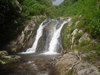 DSC00174.jpg