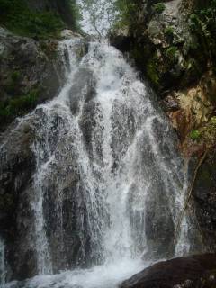 DSC00173.jpg