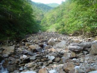DSC00211.jpg