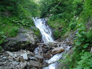 DSC00212.jpg