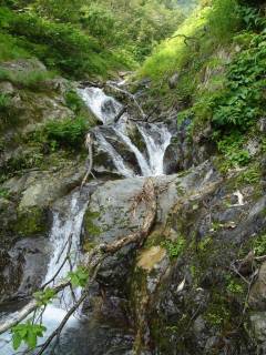 DSC00215.jpg
