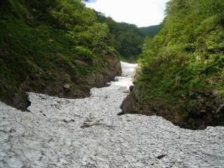 DSC00221.jpg