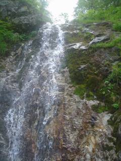 DSC00231.jpg
