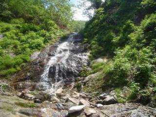 DSC00232.jpg