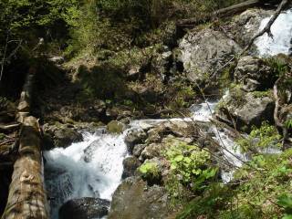 DSC01928.jpg