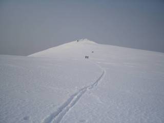 DSC01775.jpg