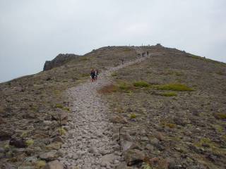 DSC00273.jpg