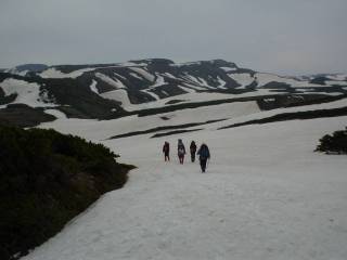 DSC00275.jpg