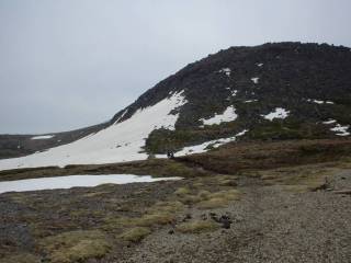 DSC00287.jpg