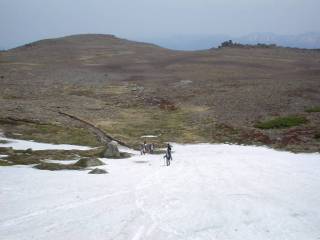 DSC00294.jpg