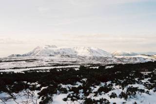 FH010003.jpg