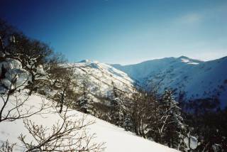 FH020001.jpg