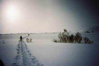 FH020005.jpg