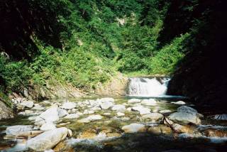 FH020022.jpg