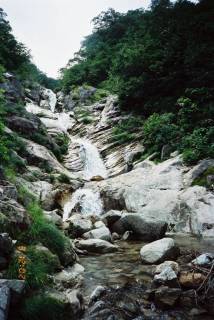FH020001.jpg