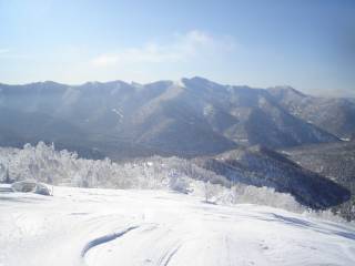 DSC04294.jpg