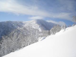 DSC04318.jpg