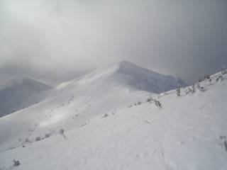 DSC04323.jpg