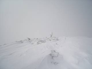 DSC04327.jpg
