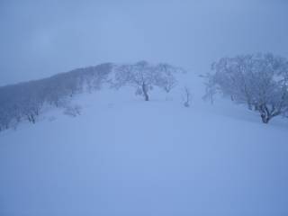 DSC04339.jpg