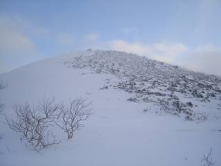 DSC04342.jpg
