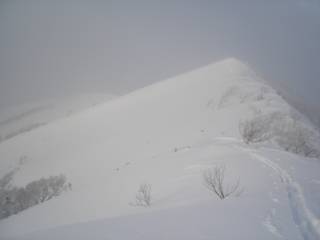 DSC04346.jpg
