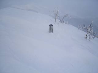 DSC04365.jpg