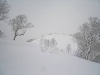 DSC04398.jpg