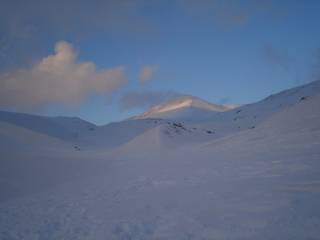DSC04687.jpg