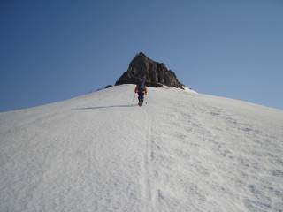 DSC04884.jpg