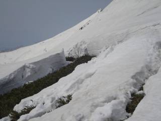 DSC04909.jpg
