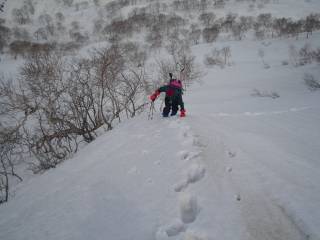 DSC04911.jpg