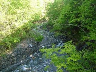 DSC05261.jpg