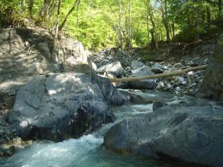 DSC05263.jpg