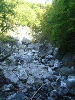DSC05265.jpg
