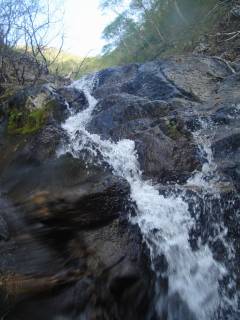 DSC05442.jpg